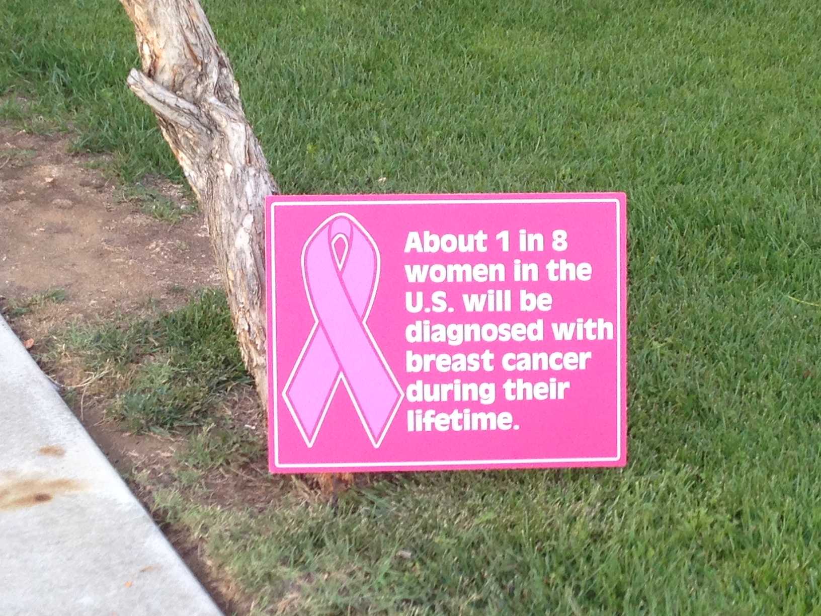 This startling statistic is one of many October Breast Cancer Awareness month hopes to emphasize. 