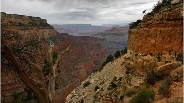 U.S National Parks Lose Protection?