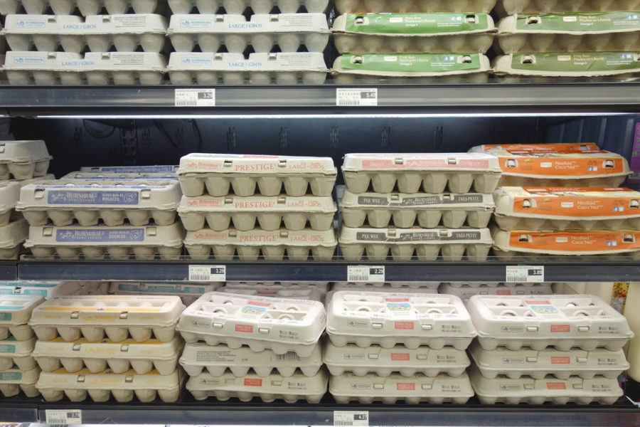 FDA Calls for Egg Recall