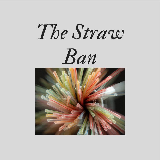 Plastic Straw Ban: Going Green or Gone Wrong?