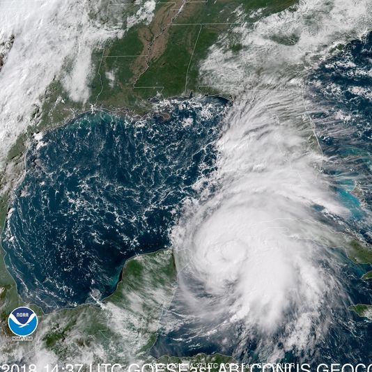 Hurricane Micheal: Floridas Biggest Fear
