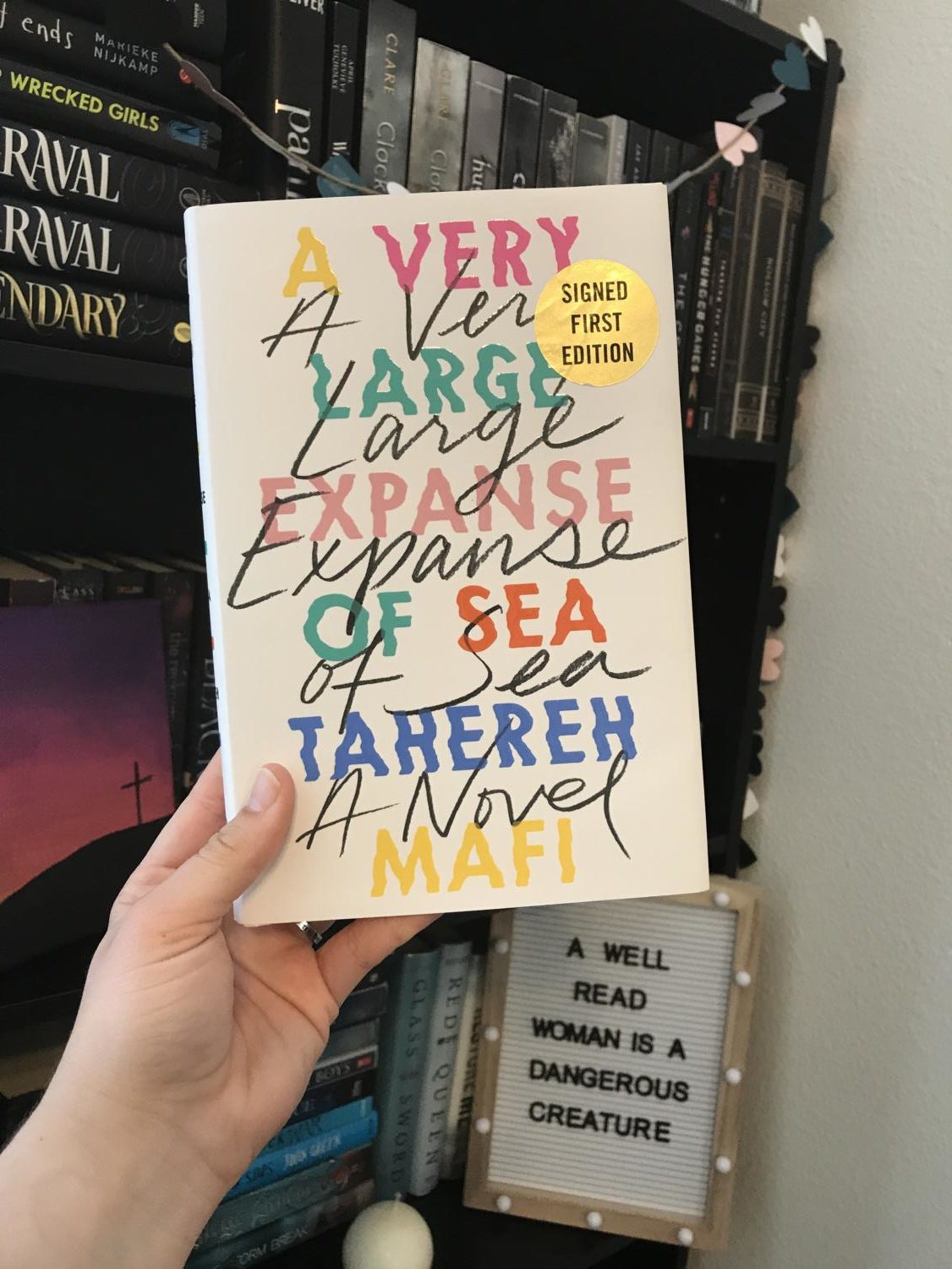 a very large expanse of sea ending