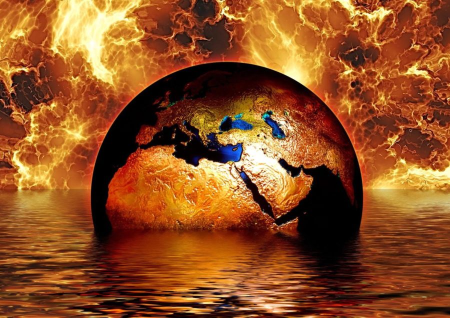 Global+Climate+Strike