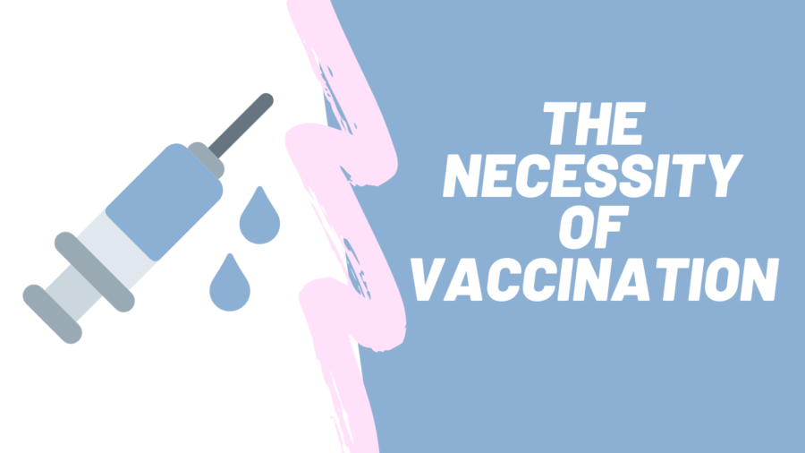 Despite having been widely supported for decades and by countless studies validating their safety and effectiveness, some have started to doubt the validity of vaccinations. Why?