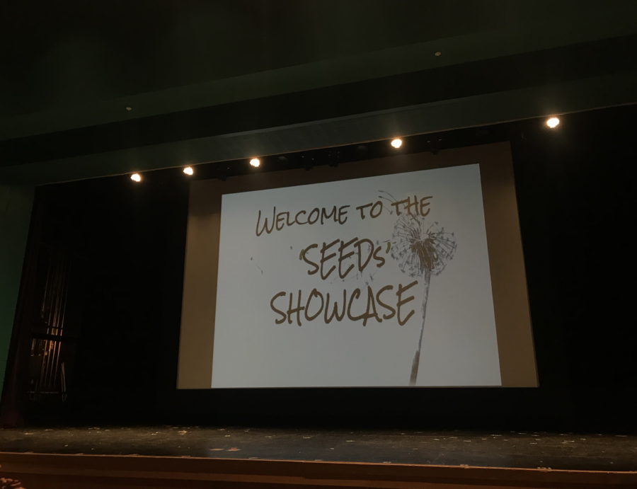 Pictured above, The Seeds Showcase logo.