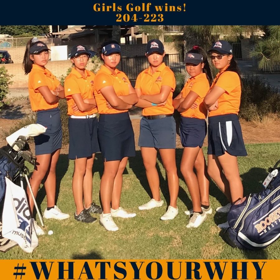 Our+Girls+Golf+team+in+a+stance+promoting+thier+hashtag+%23whatsyourwhy+showing+empowerment.+This+photo+was+posted+on+the+ERHS+official+Athletics+page+on+twitter%2C%40AthleticsERHS.+This+was+pposted+right+after+their+announcement+of+receiving+the+opportunity+of+competing+in+C.I.F.+