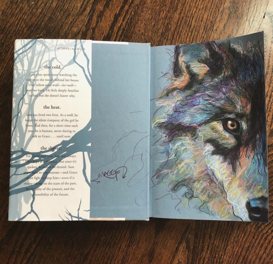 Maggie Stiefvaters drawing of wolf on copy of Shiver later used in giveaway