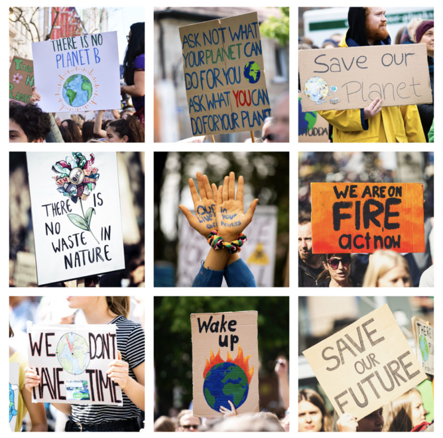 The Sierra Club pushes for societal changes and voices the current and increasing impacts of climate change.