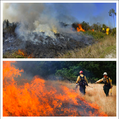 Due to strong Santa Ana winds, there have been brush fires fanning throughout the Inland Empire.