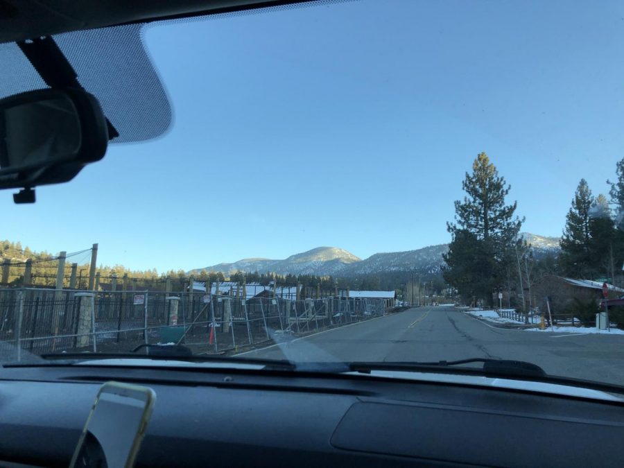 Photo taken from the safety of my friends car as we drove down the big bear roads.