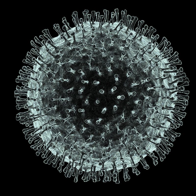 Coronavirus+Name+Changes+to+Covid-19