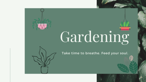 Gardening: Take time to breathe. Feed your soul.

This is much needed especially during this trying times.