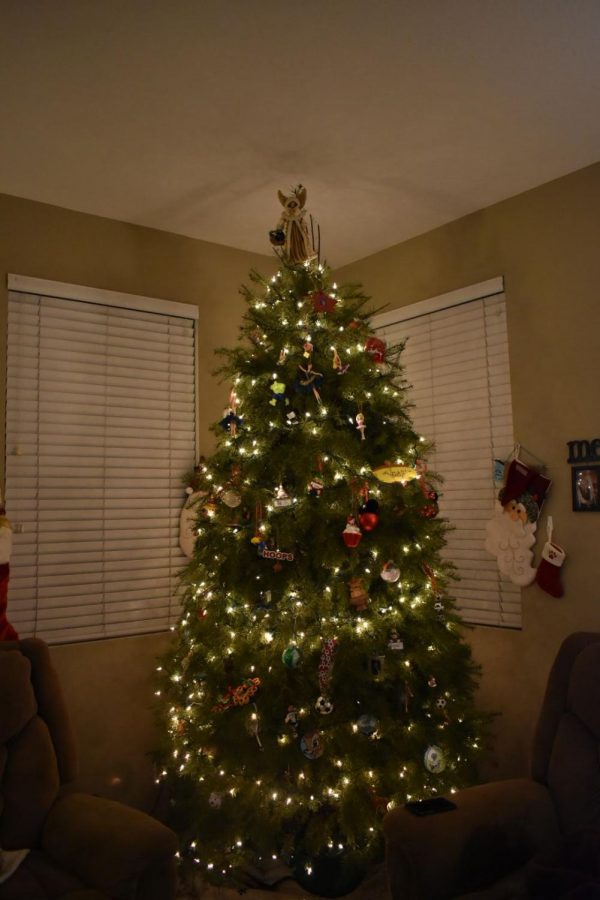 Christmas Tree from a 2017 family room