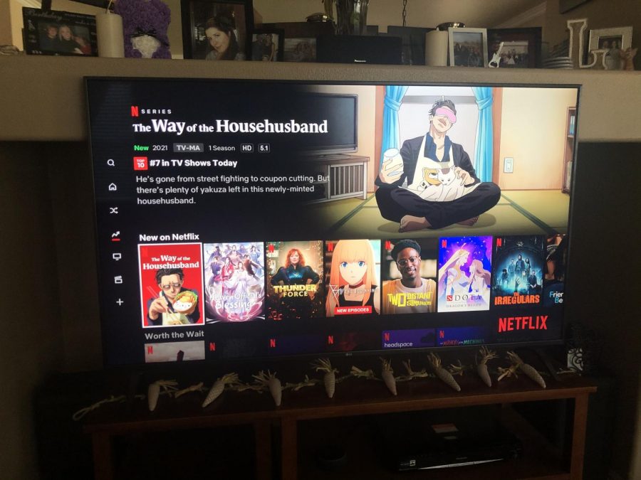 exciting-new-additions-to-netflix-the-roosevelt-review