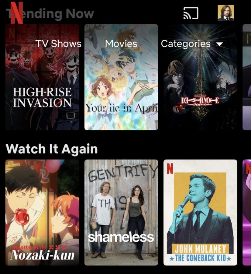 Image of Netflix mobile showing different show covers
