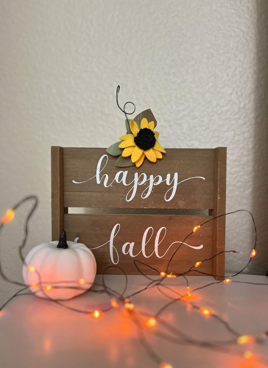 Some fall decorations in my room!