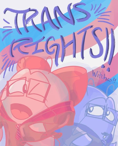 Trans Rights Witches!! Poster