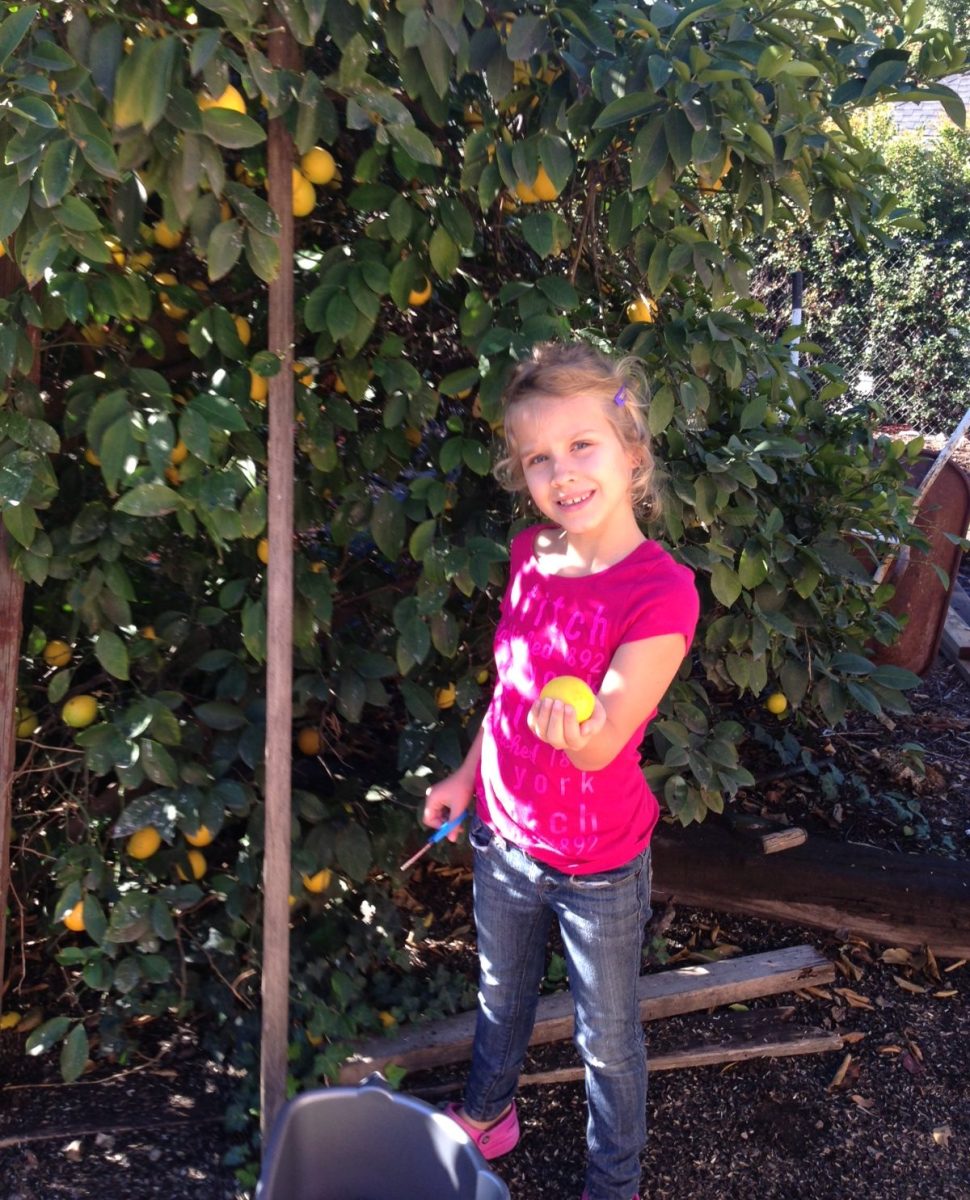 Younger Journey holding a lemon, picked from the backyard