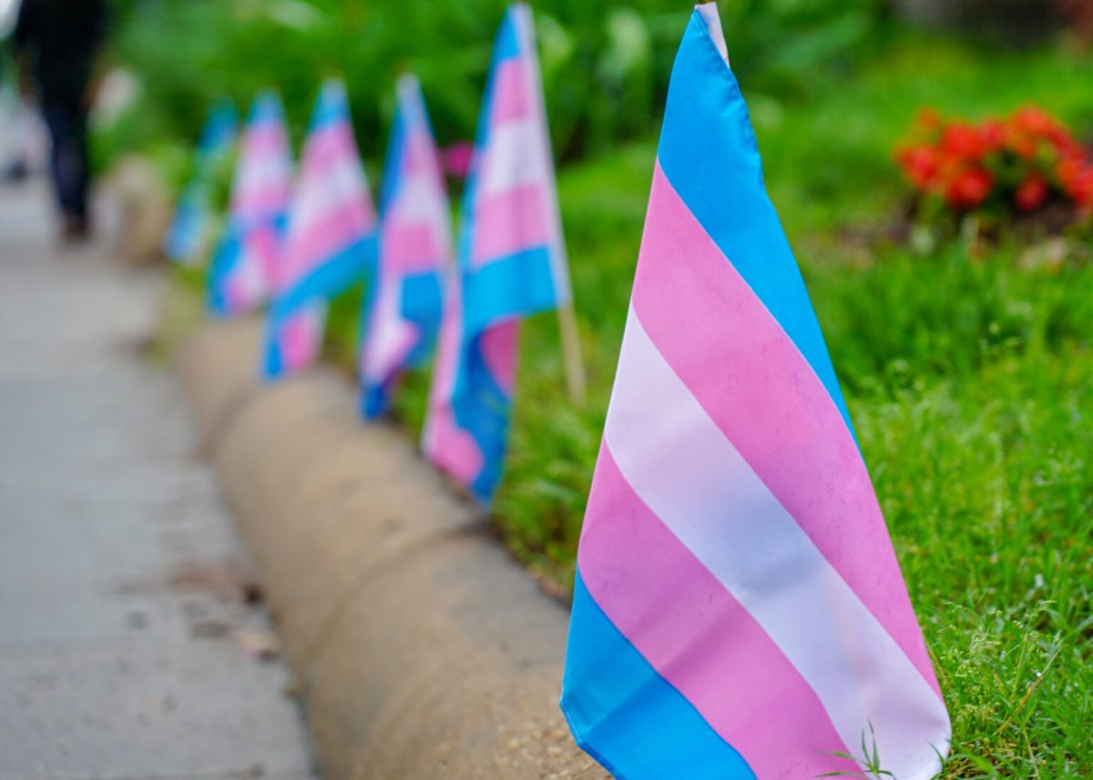 In 2025, there is a large wave of active bills that could heavily affect the lives of transgender individuals. (Ted Eytan via Flickr)