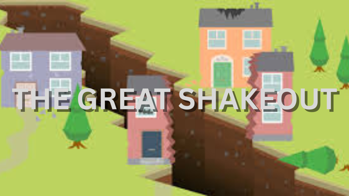 Picture representing the great shakeout