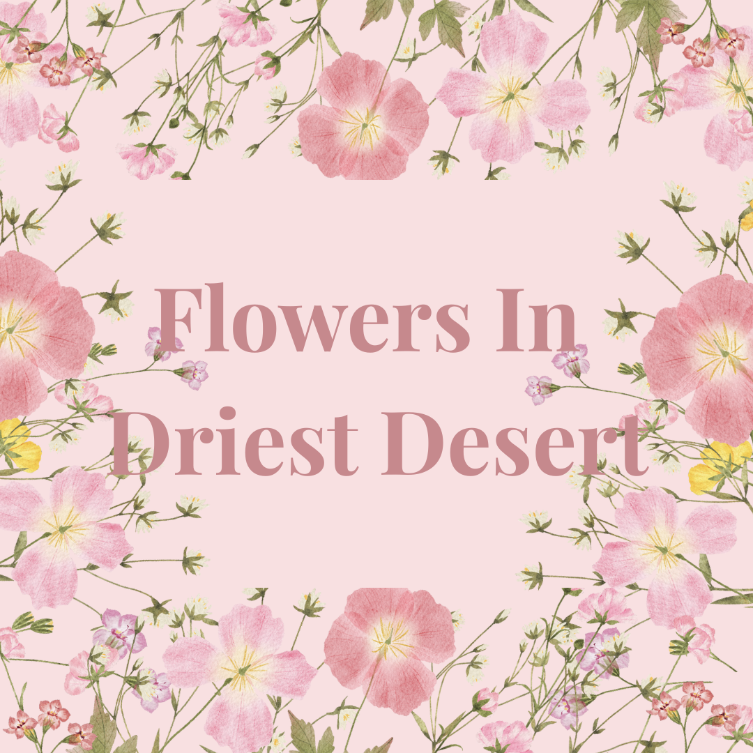 Made in Canva.