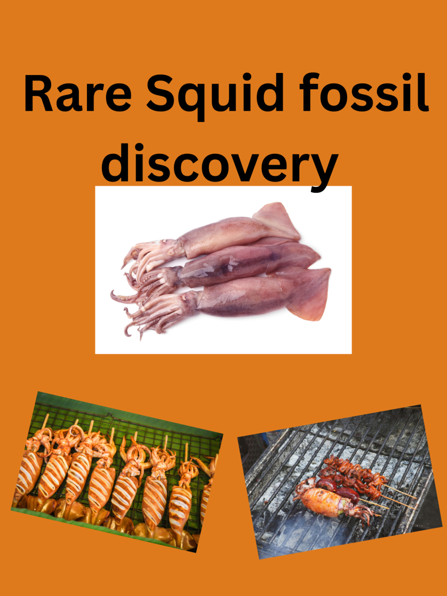 fossil